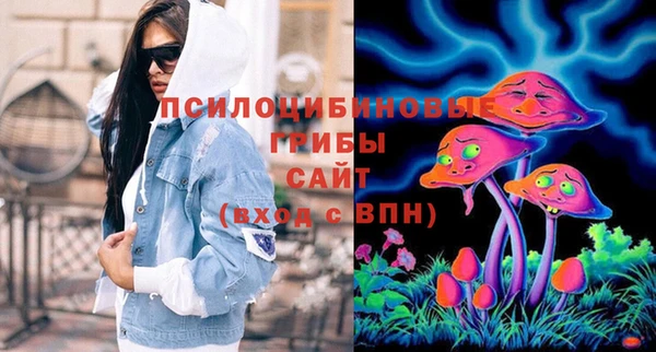 твердый Алексеевка