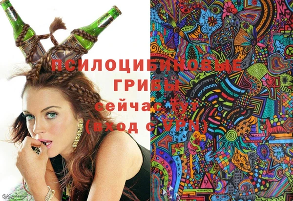 твердый Алексеевка