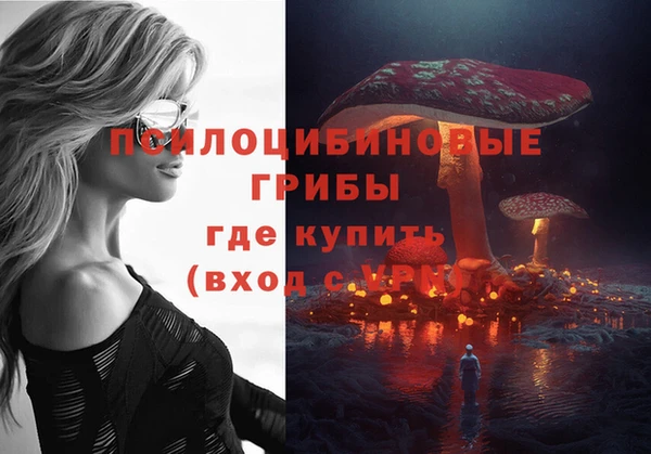 твердый Алексеевка