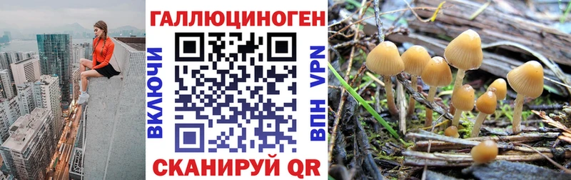 Галлюциногенные грибы мицелий  наркотики  Боровск 